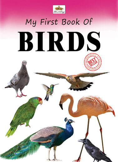 my first book of birds