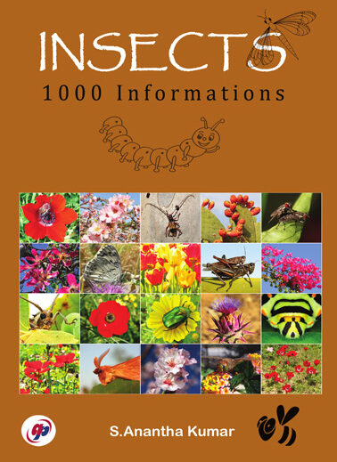 insects 1000 informations
